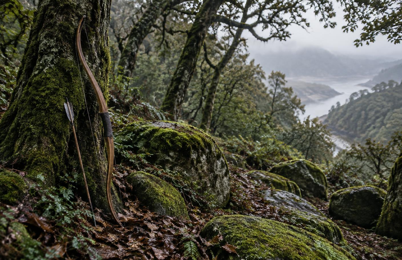 Arco tradicional junto a un árbol en un bosque gallego